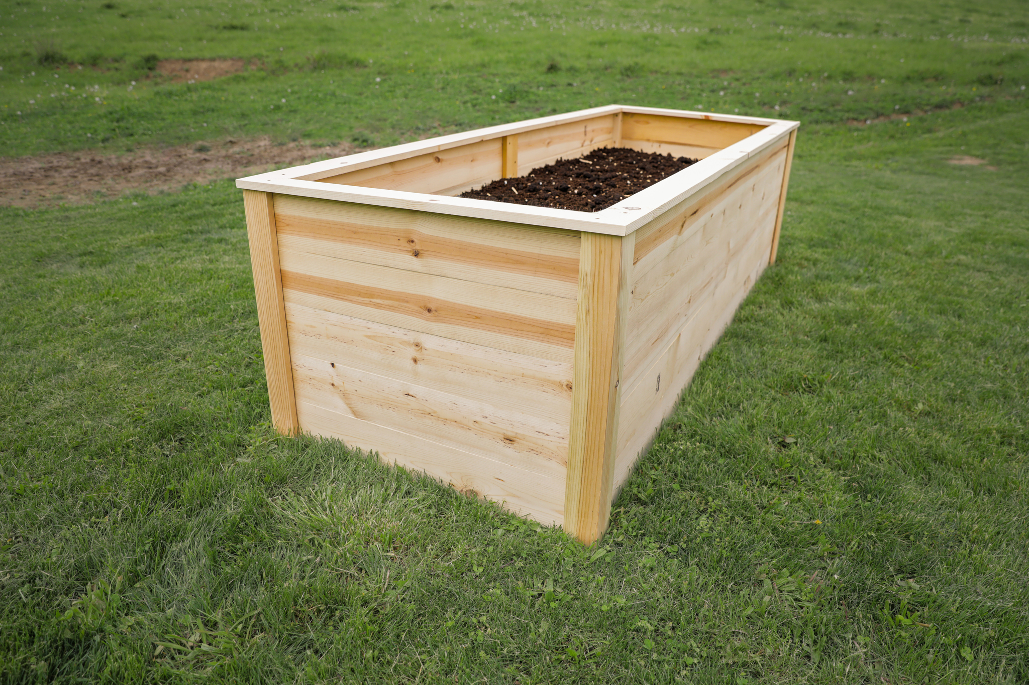 Raised Garden Bed