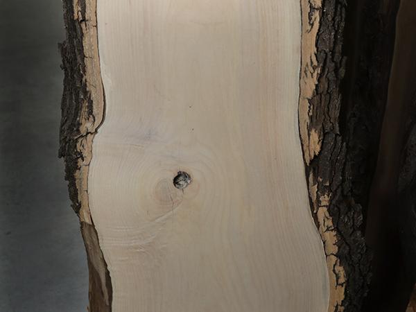 Slabs & Burls - Ash