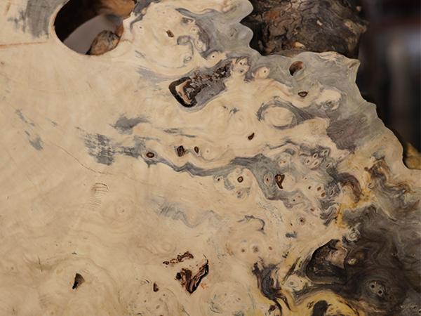 Slabs & Burls - Buckeye Burl