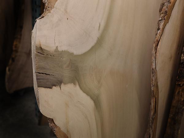 Slabs & Burls - Poplar