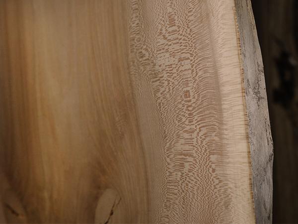 Slabs & Burls - Sycamore