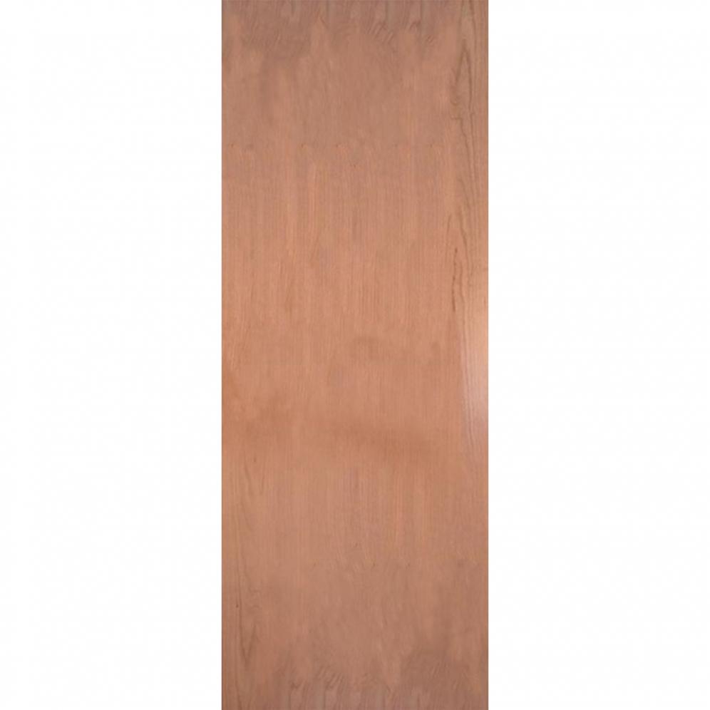 Flush Door