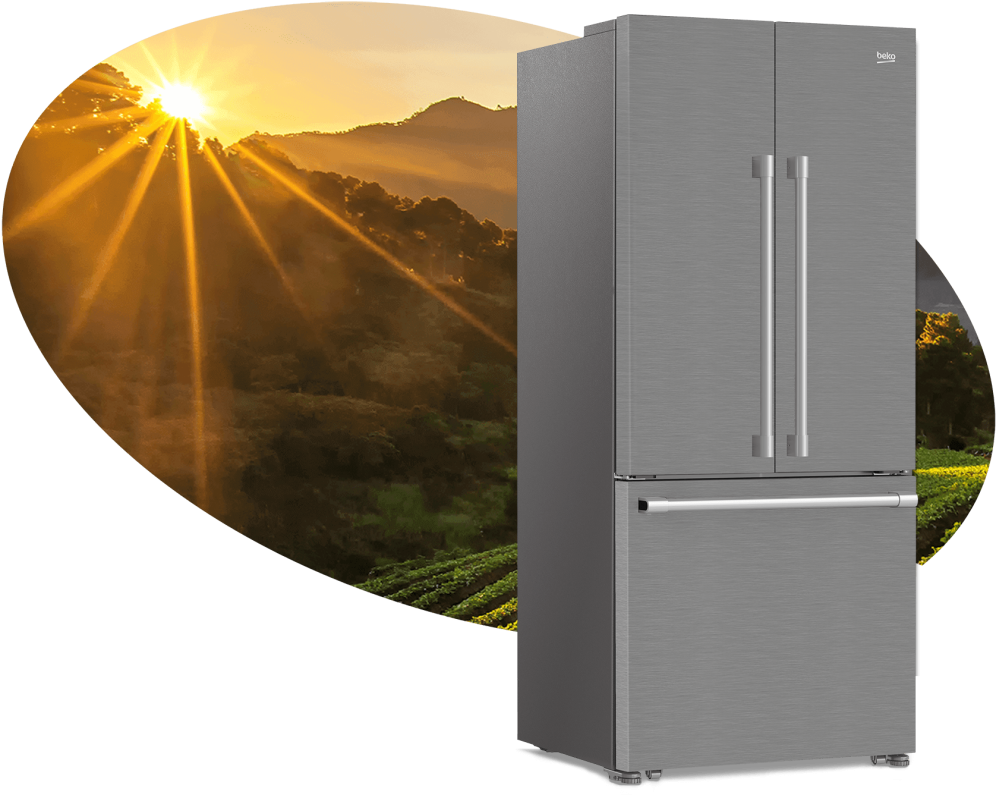 Beko HarvestFresh Featured Image