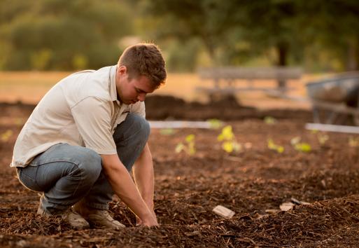 <!-- THEME DEBUG -->
<!-- THEME HOOK: 'views_view_field' -->
<!-- BEGIN OUTPUT from 'core/modules/views/templates/views-view-field.html.twig' -->
A Beginner's Guide: How to Prep Your Garden
<!-- END OUTPUT from 'core/modules/views/templates/views-view-field.html.twig' -->