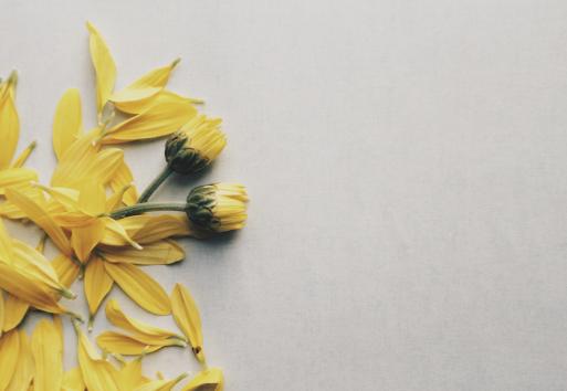 <!-- THEME DEBUG -->
<!-- THEME HOOK: 'views_view_field' -->
<!-- BEGIN OUTPUT from 'core/modules/views/templates/views-view-field.html.twig' -->
A Mother's Day Gift Guide for Dads
<!-- END OUTPUT from 'core/modules/views/templates/views-view-field.html.twig' -->