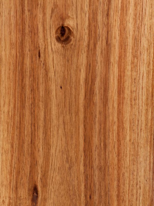 Acacia Texture
