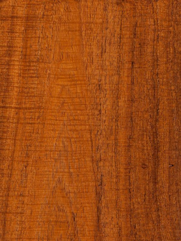 Black Mesquite