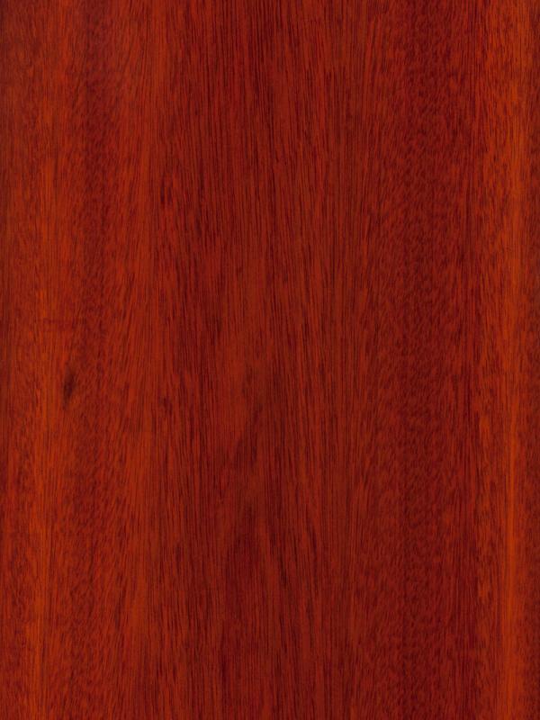 Bloodwood