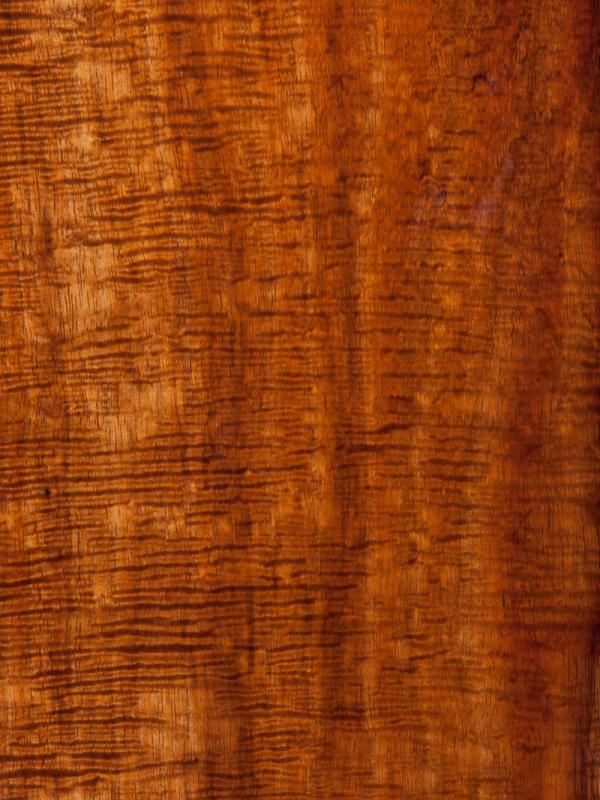 Koa Curly