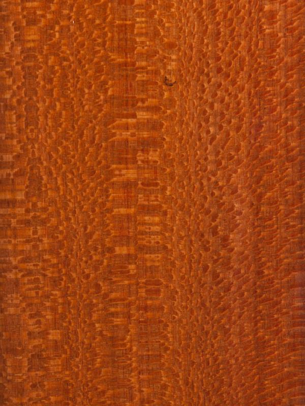 Leopardwood