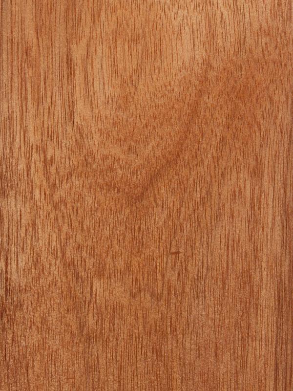 Mahogany Phillipine