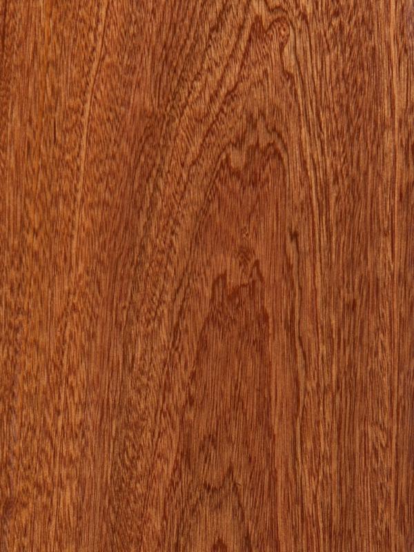 Sapele