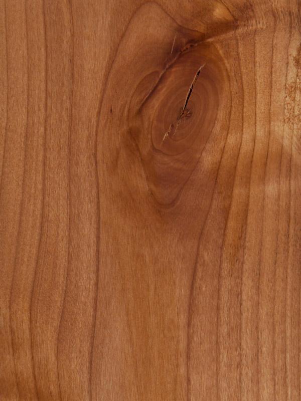 Alder Character