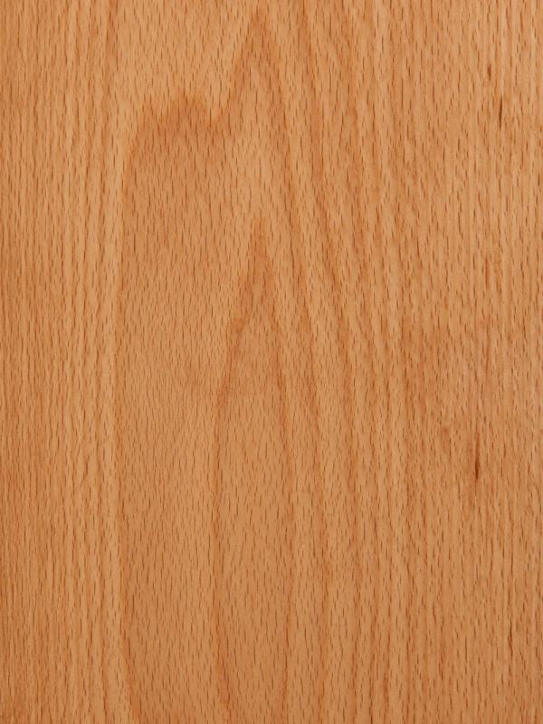 Beech European