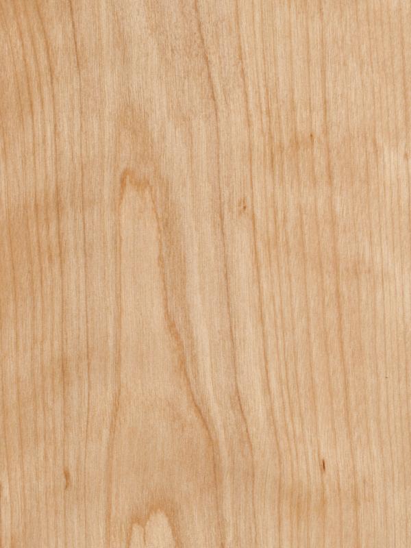Birch