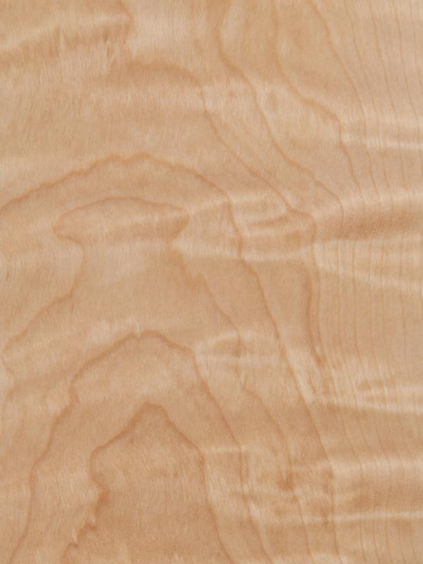 Birch Curly