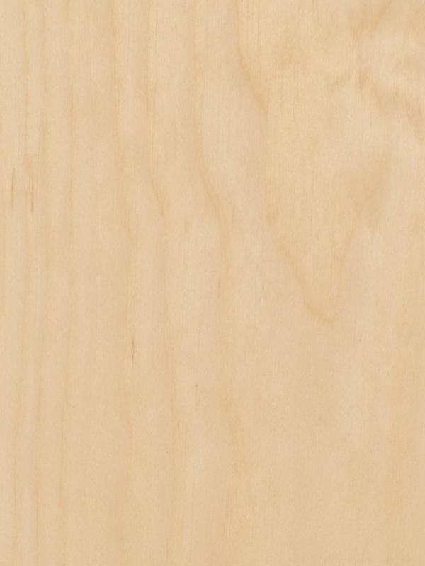 Eastern White Pine