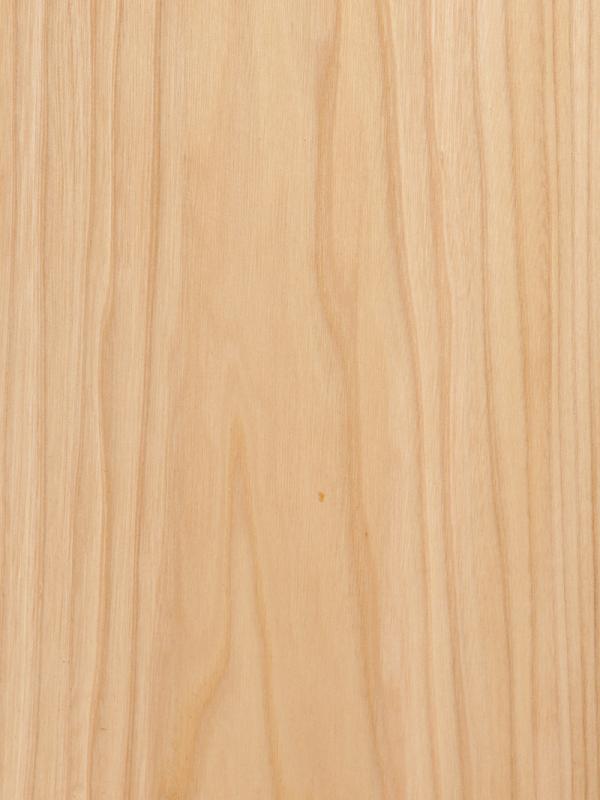 Grey Elm