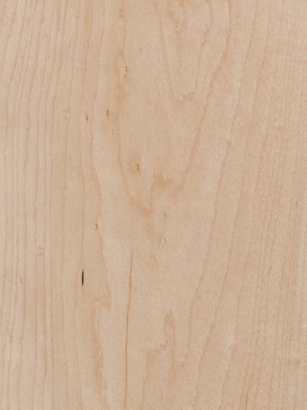 Hard Maple