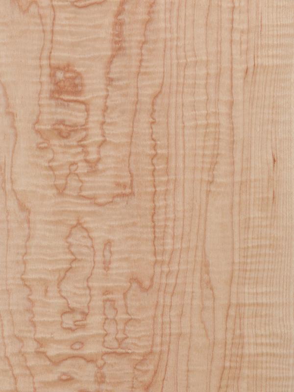 Hard Maple Curly