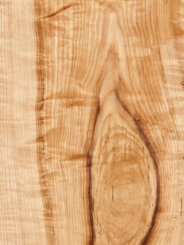 Hickory Curly