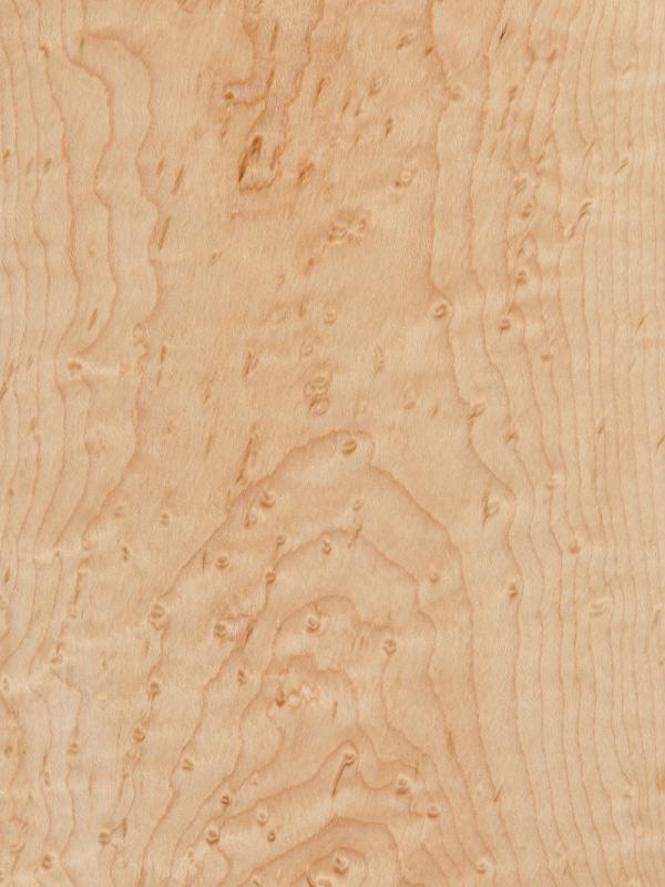 Maple Birdseye