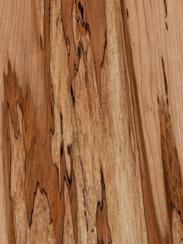 Maple Spalted
