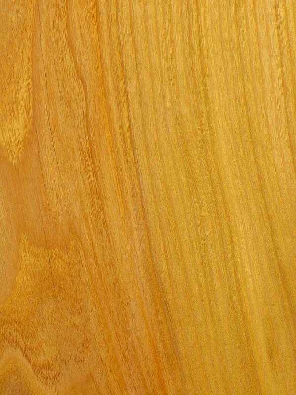 Osage Orange