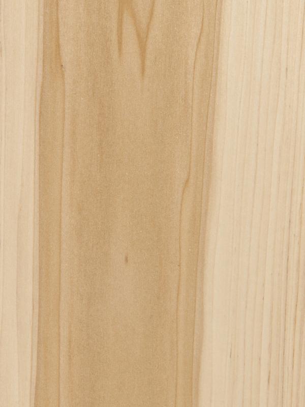 Poplar