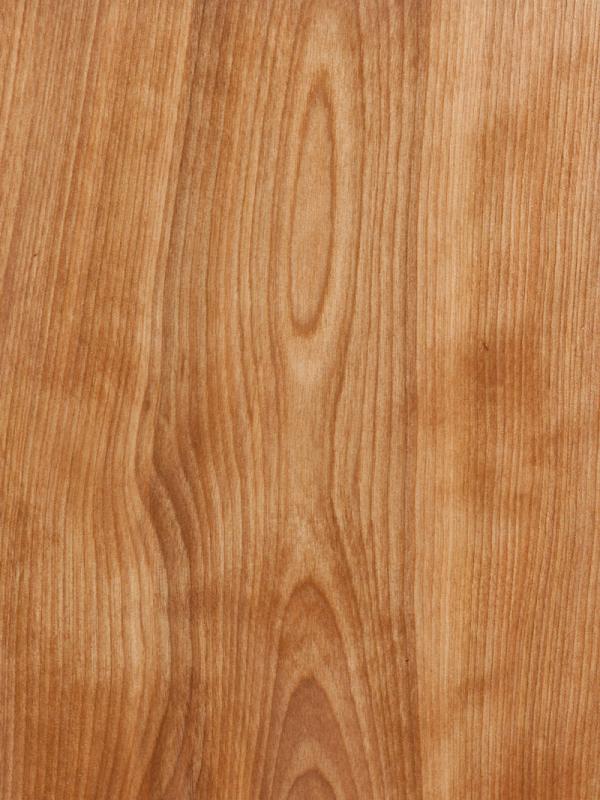 Red Birch