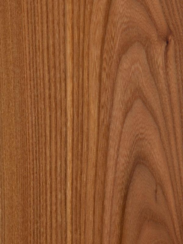Red Elm