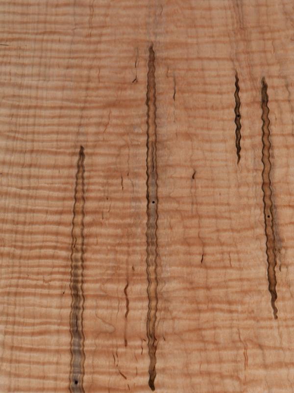 Soft Maple Curly Wormy