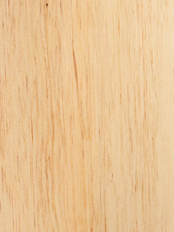 Sugar Pine