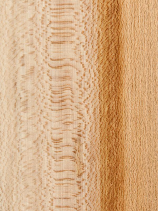 Sycamore Quarter Sawn