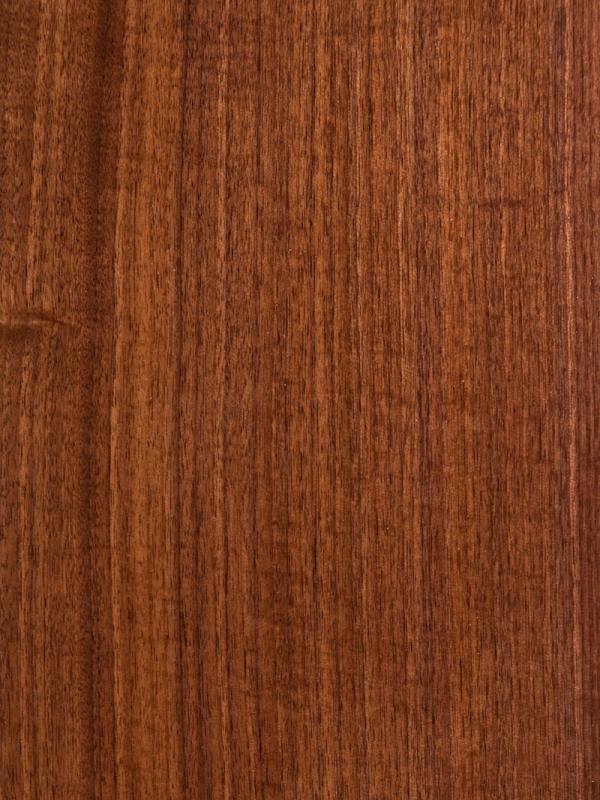 Walnut Gun Stock Blanks